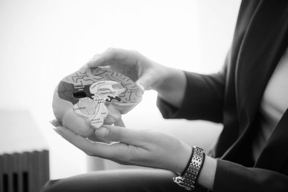 Modelo de cerebro utilizado como herramienta en las sesiones
